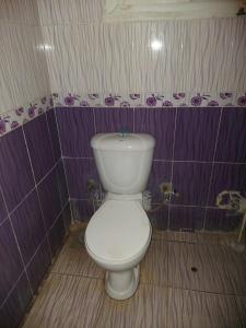 Toman Pyramids hotel