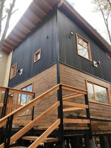 Zorro Azul - Corazón de la Isla - Tierra del Fuego