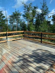 Zorro Azul - Corazón de la Isla - Tierra del Fuego