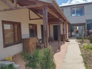 FREEDOM Iris - Monte Dinero