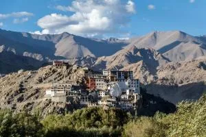 Indus Riverside Homestay- Spituk - Pituk