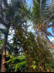 Royal beach villa