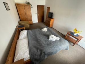 Standard Double Room room in Penzion Adler