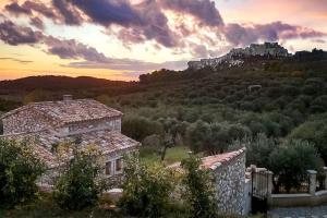 Villas Le Mazet des Baux de Provence : photos des chambres