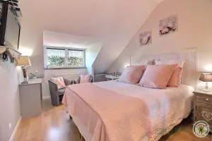 L'araukaria - Trémeven