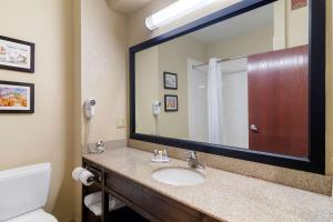 One Room Suite with Sofa bed - Non Smoking room in Comfort Inn & Suites Griffin