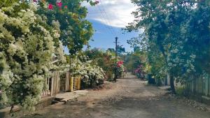 Chalet Ahaz, the place of privacy with outside sitting