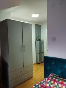 Apartment Sokobanja