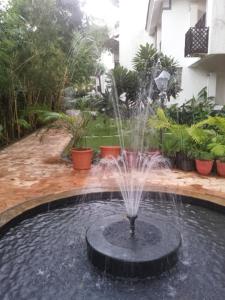 Riviera Foothills Greensview Apartment