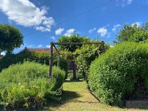 Appartements Gite La Bergerie : photos des chambres