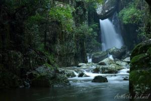 The Cottage at Galapitiyaya Estate for 6