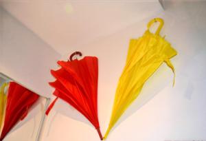 Un jour dété à Albi - Centre Unesco - 200 m Cathédrale - Parking - Animaux acceptés