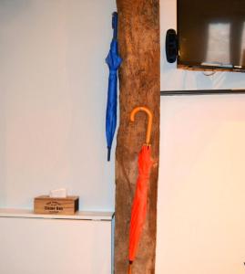 Un jour dété à Albi - Centre Unesco - 200 m Cathédrale - Parking - Animaux acceptés