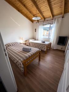Araucaria Duplex
