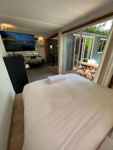 Maisons de vacances SUPERBE BUNGALOW*JACUZZI*JARDIN*CLIM*WIFI*PARKING : photos des chambres