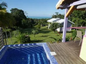 La Joupa case Anthurium - Duzer