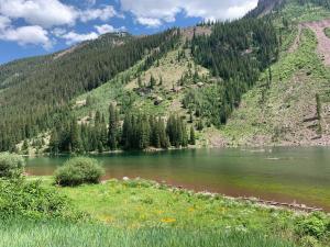 Cabañas Serendipia Bariloche