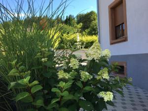 Appartements Les magnolias en Alsace - meuble de tourisme 3 etoiles : photos des chambres