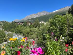 Appartements Appartement a Lanslevillard station Val Cenis Vanoise : photos des chambres