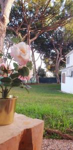 Estúdio na Falésia