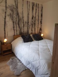 Appartements CASTEL ISARD - Le Refuge : photos des chambres