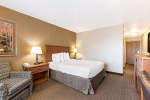Queen Room - Non-Smoking room in Best Western Empire Towers