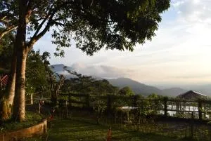 Finca San Antonio - Pluma Hidalgo