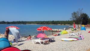 Family friendly apartments with a swimming pool Kukci, Porec - 20263