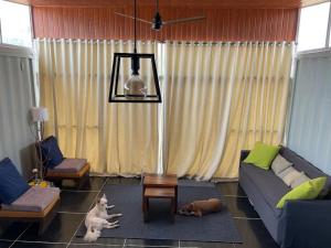 The Silver Lining - 2 bhk Villa facing the hills