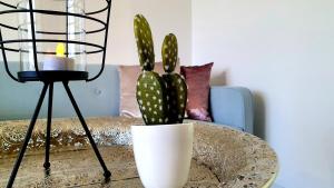 ✪ Beautiful Studio in Center with Amazing View ✪