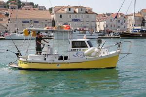 Apartment in Vinisce with sea view, terrace, air conditioning, WiFi 4752-1