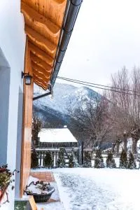 Ograda Magura village - 佩什泰拉