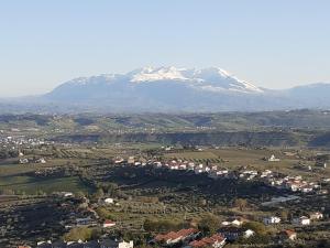 VILLETTA TRA GLI ULIVI