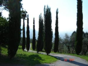 Podere"sulle soglie del Bosco" appartament and rooms