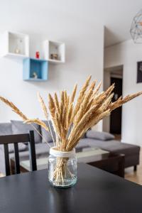 Residential home in Riga near Agenskalna Quarter