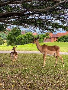 San Lameer Golf Estate - villa overlooking golf course