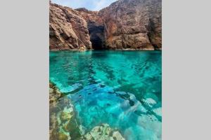 Nel blu dipinto di blu img43
