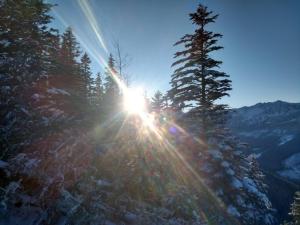 Forester Apartment Zuberec