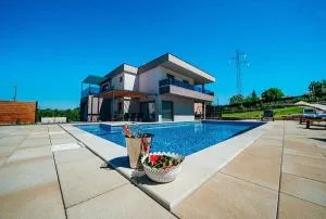 Villa Viktoria with private pool, barbecue, gym, children's playground - Lokvičič