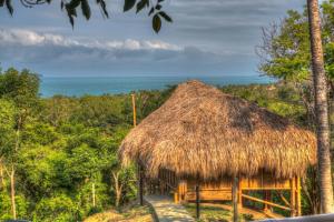 obrázek - Villa Maria Tayrona, Jungle and Sea Experience