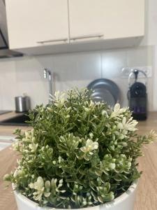 La Clé - Port - Gare - Centre de Toulon