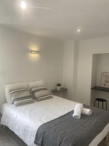 Appartements T2 centre-ville place d'Armes Clim-Wifi : Appartement