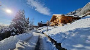 Chalets Chalet Les Bognettes 10 personnes : photos des chambres