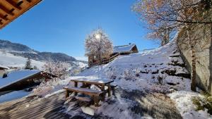 Chalets Chalet Les Bognettes 10 personnes : photos des chambres