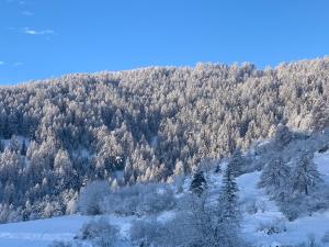 Chalets Magnifique chalet avec SAUNA : photos des chambres