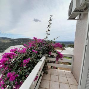 Casa Vista do Vale próxima ao Vale dos Vinhedos