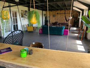 Luxe in stiltegebied tussen loslopende Alpaca’s