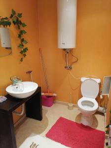 Golden sands Iglika-1