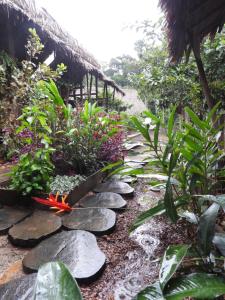 Casa Azul Reserva Amazonica
