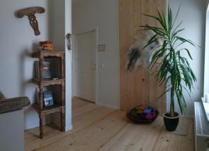 Slow Travel Mývatn - Þúfa - Private Homestay